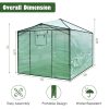 GROWH Pop-Up Folding Greenhouse