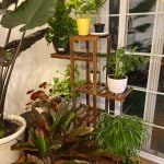 WOODJOYS 6-Tier Flower Display