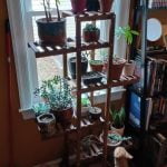 WOODJOYS 6-Tier Flower Display