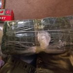 ARTIFLORA Backyard Privacy Fence