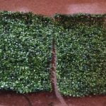 ARTIFLORA Backyard Privacy Fence