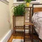POTAM Corner Plant Stand