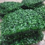 ARTIFLORA Backyard Privacy Fence