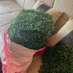 ARTIFLORA Backyard Privacy Fence