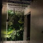 ARTIFLORA Backyard Privacy Fence