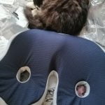 COMFYLITE U-Shaped Seat Cushion