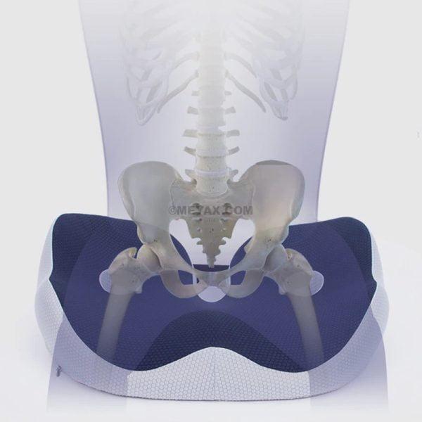 Memory Foam Sit Bone Relief Seat Cushion for Butt Lower Back Hamstrings  Hips