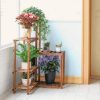 POTAM Corner Plant Stand
