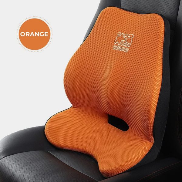 RICESOUP Car Back Support