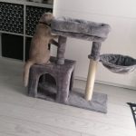FURFAM Small Cat Tree Tower