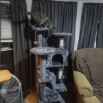 SKRY 54.5" Scratching Cat Tree