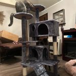 SKRY 54.5" Scratching Cat Tree