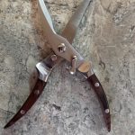 COOKCUT Kitchen Shears