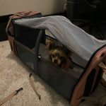 MUMPAKS Portable Folding Crib Bed