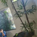 TAPTOGO 360° Kitchen Faucet