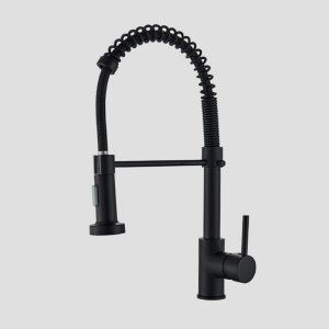 TAPTOGO 360° Kitchen Faucet 000 TAPTOGO 360° Kitchen Faucet