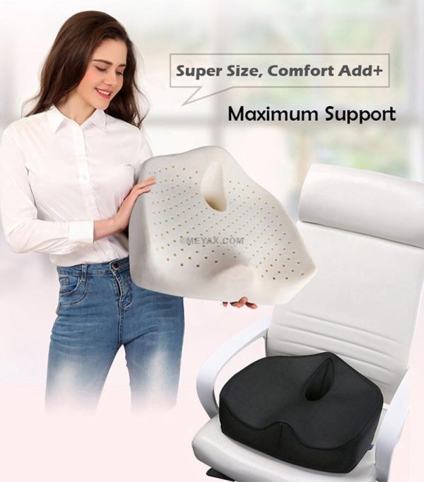 PLATEX X-Large Orthopedic Latex Seat Cushion