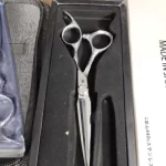 FNLU 6.0 Pro Hairdresser Shears