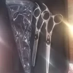 FNLU 6.0 Pro Hairdresser Shears