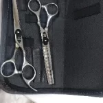 FNLU 6.0 Pro Hairdresser Shears