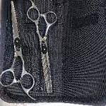 FNLU 6.0 Pro Hairdresser Shears