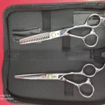 FNLU 6.0 Pro Hairdresser Shears