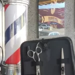 FNLU 6.0 Pro Hairdresser Shears