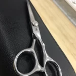 FNLU 6.0 Pro Hairdresser Shears